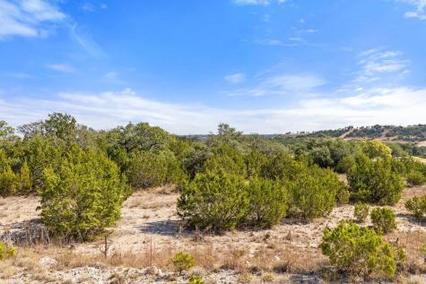 2058 Legacy Hills Drive Johnson City TX 78636