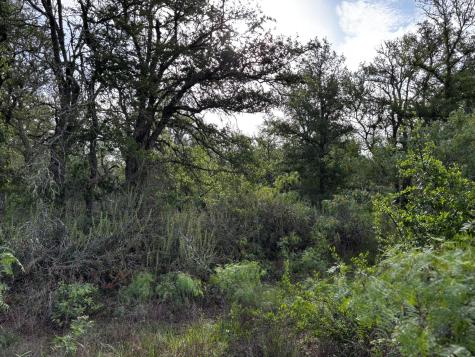 805 County Road 467 Thrall TX 76578