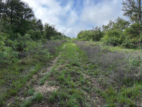 805 County Road 467 Thrall TX 76578