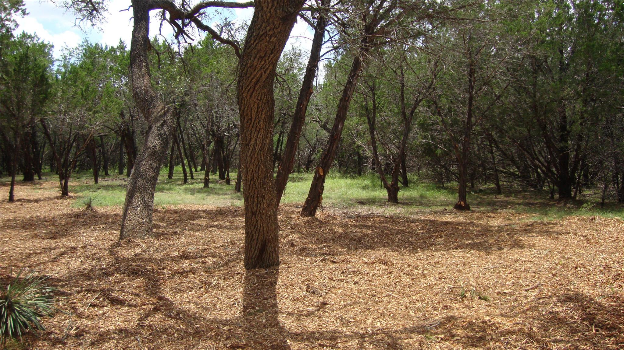 36 Travis Oaks Drive Marble Falls TX 78654