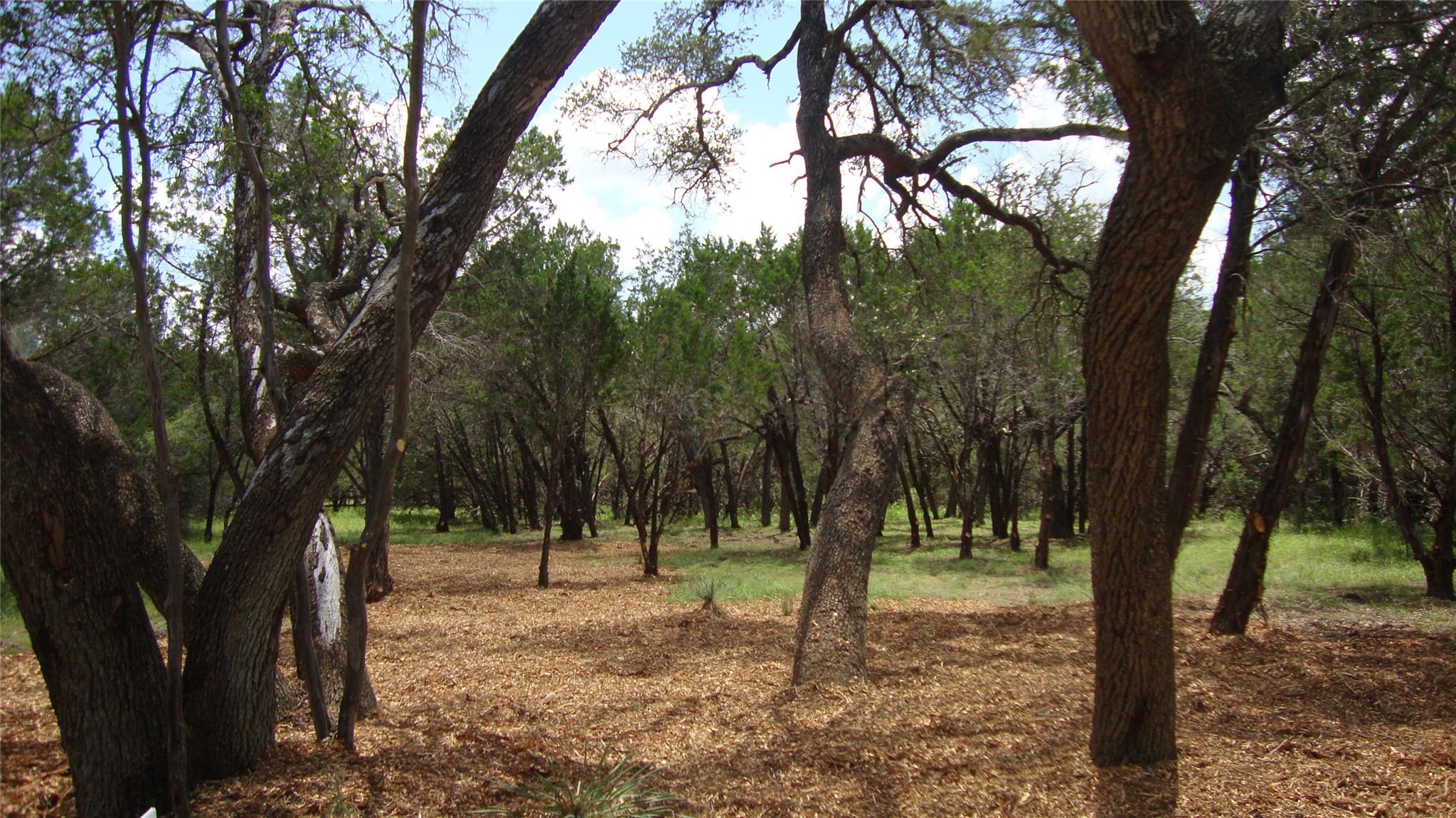 36 Travis Oaks Drive Marble Falls TX 78654
