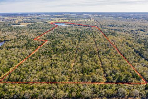 000 Lincoln Lake Road Paige TX 78659