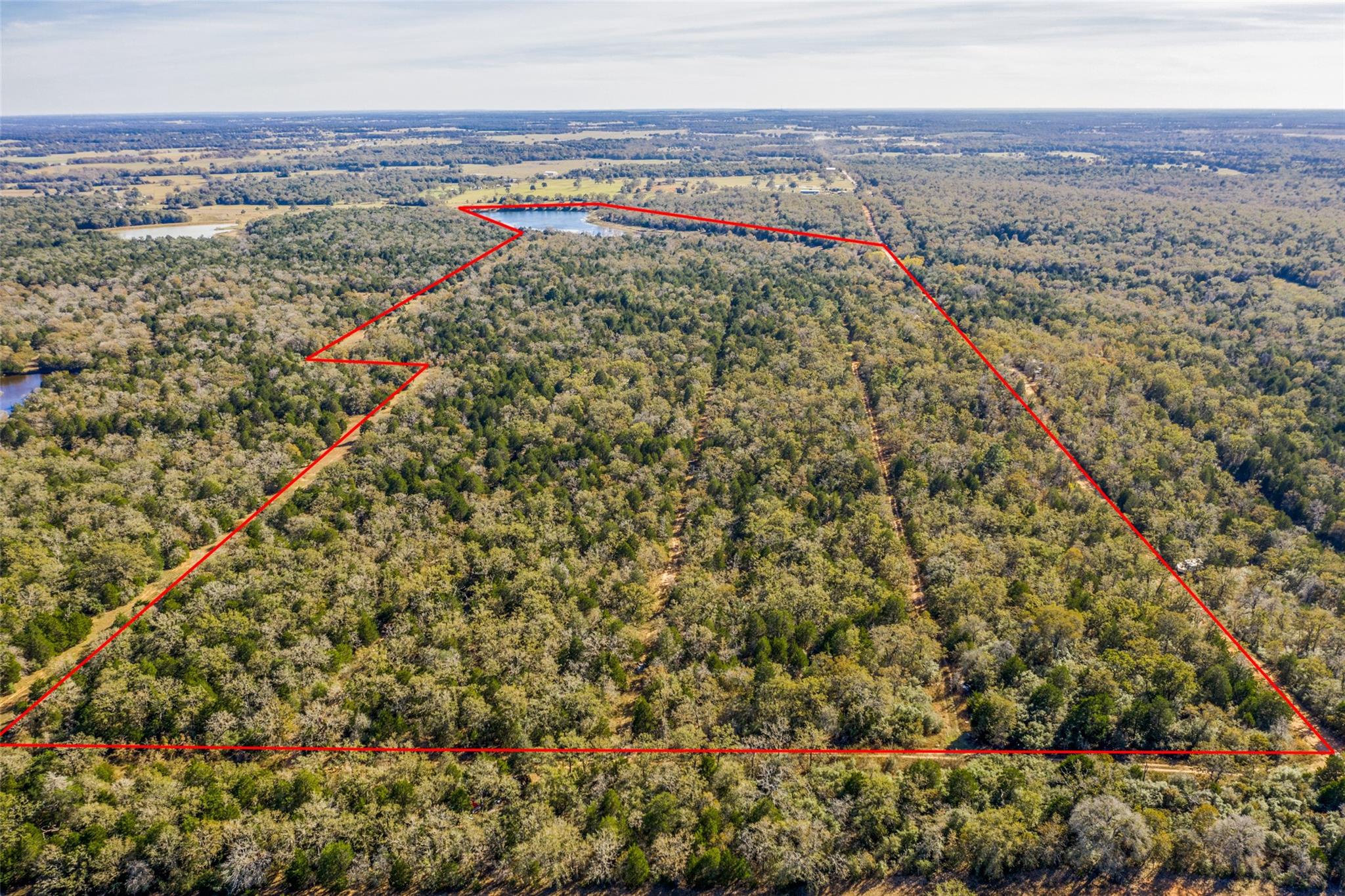 000 Lincoln Lake Road Paige TX 78659