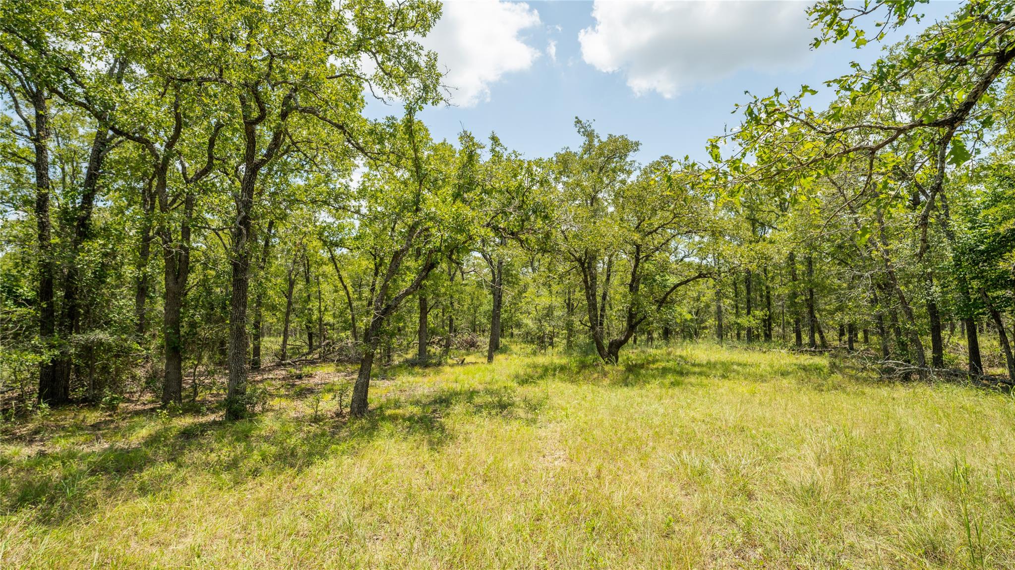 418-G County Road 405 Buckholts TX 76518