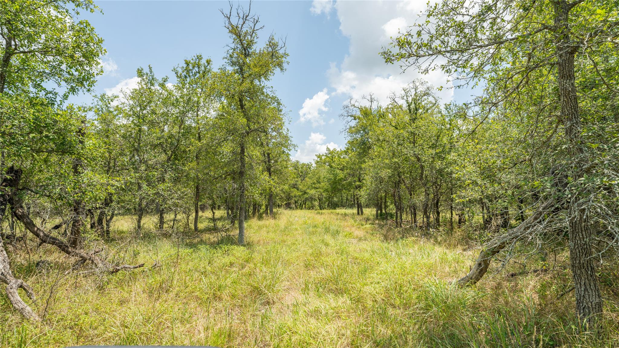 418-G County Road 405 Buckholts TX 76518