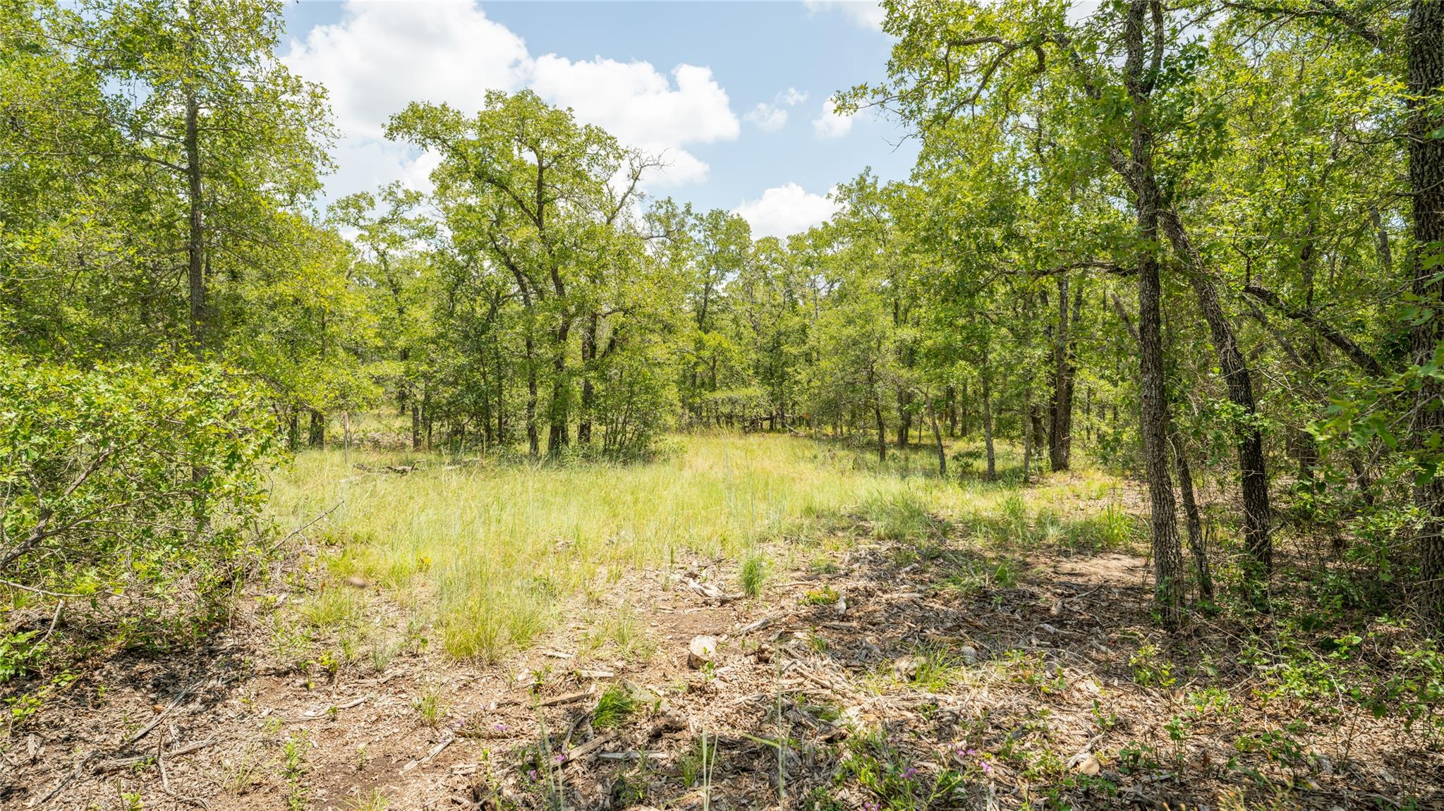 418-G County Road 405 Buckholts TX 76518