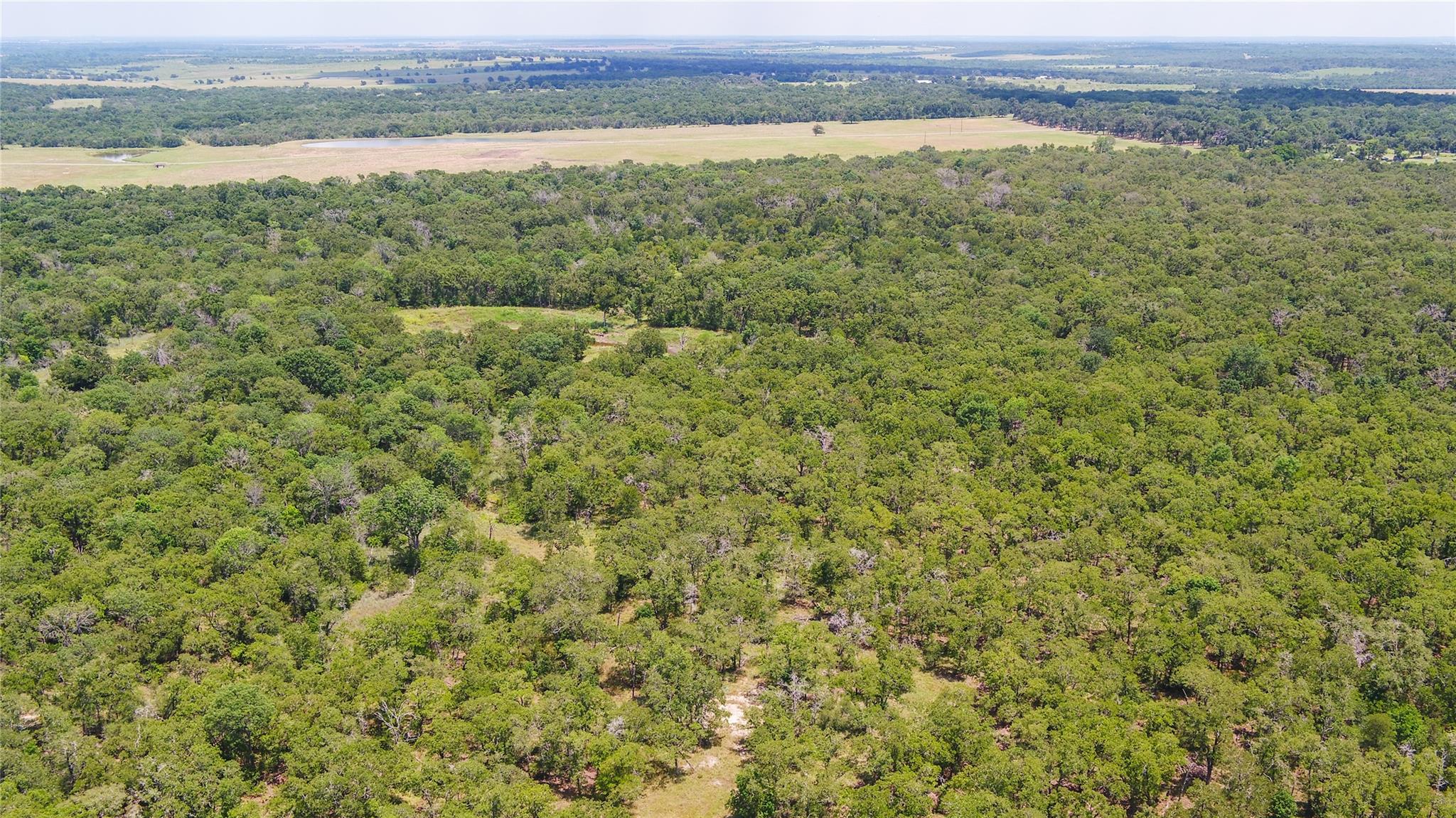 418-G County Road 405 Buckholts TX 76518
