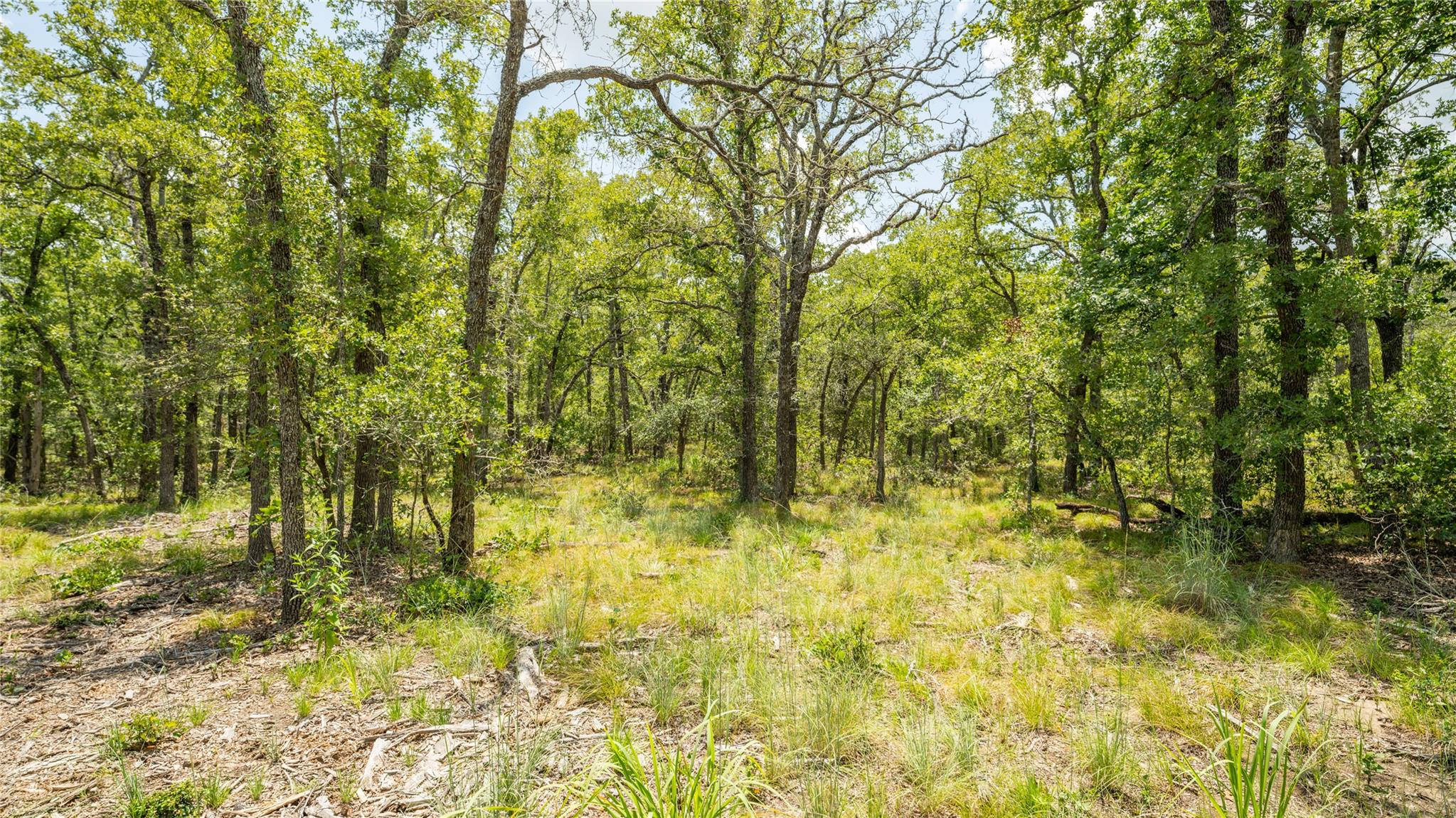 418-G County Road 405 Buckholts TX 76518