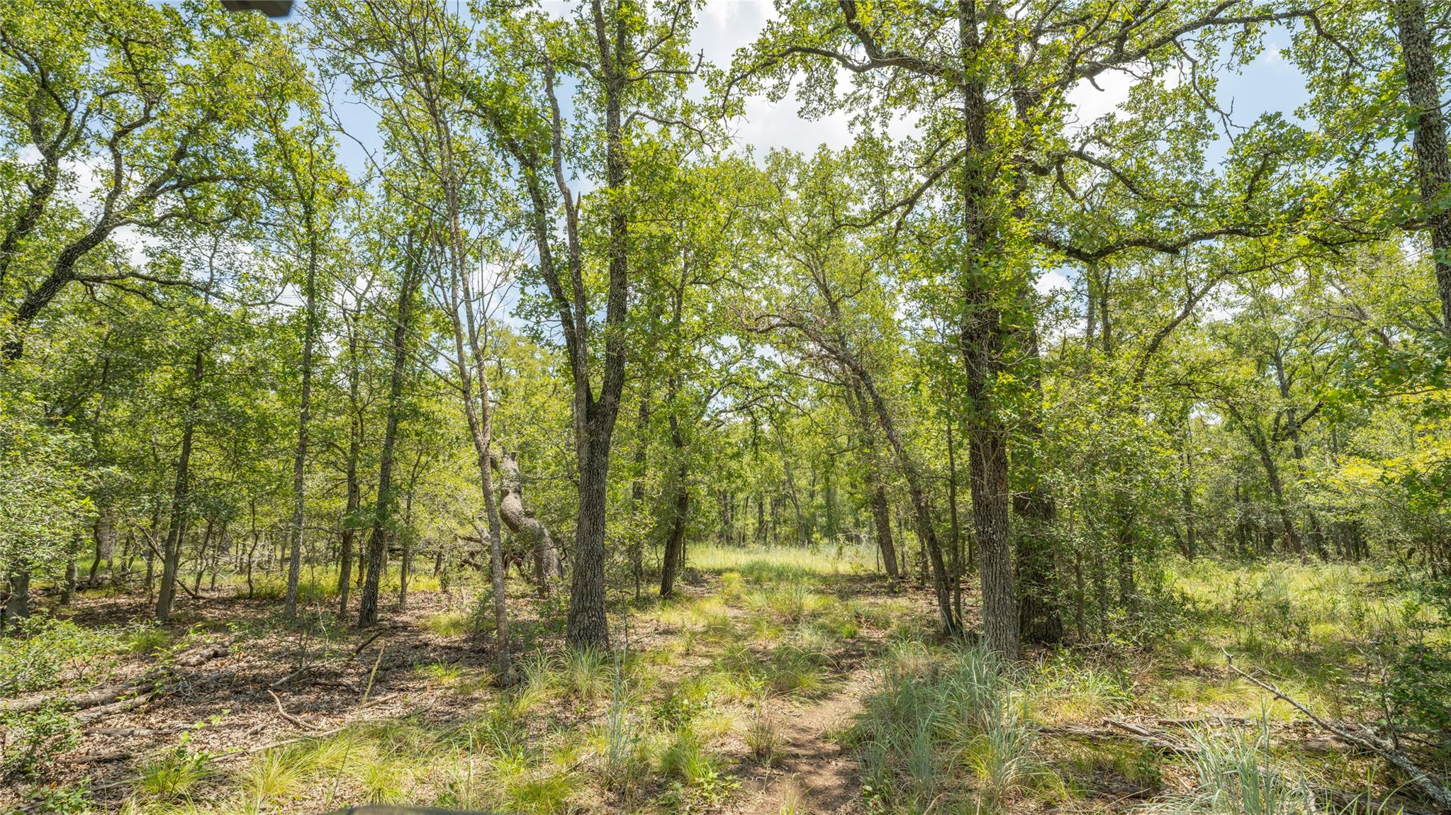 418-G County Road 405 Buckholts TX 76518