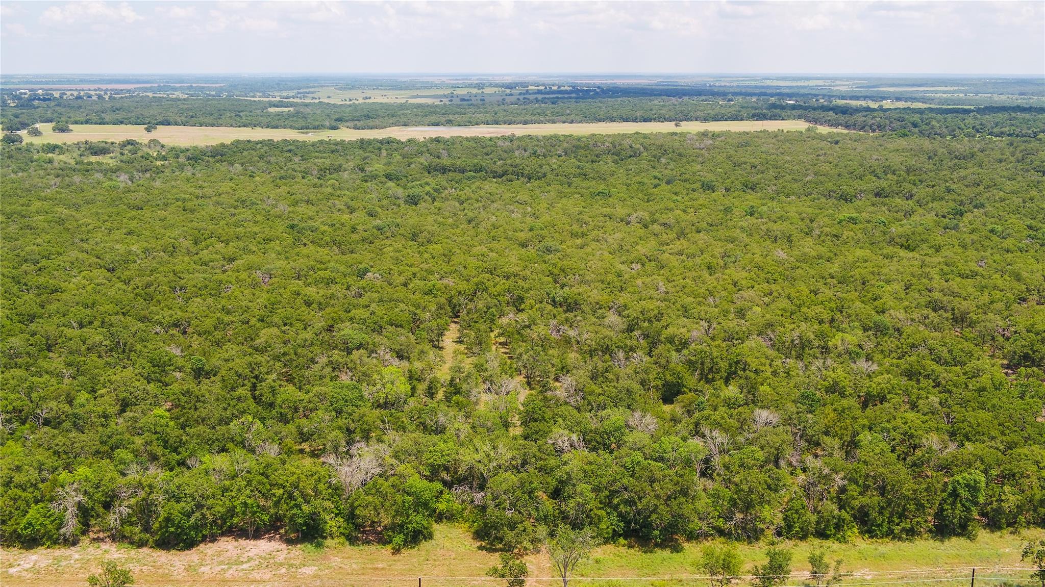 418-G County Road 405 Buckholts TX 76518