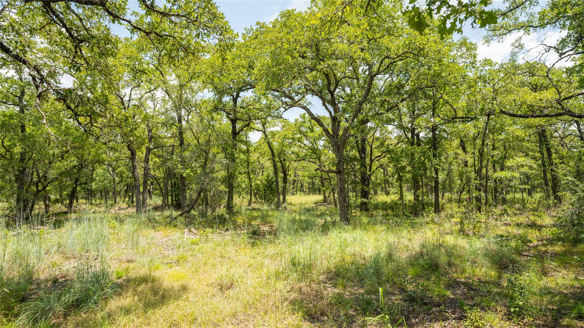 418-G County Road 405 Buckholts TX 76518