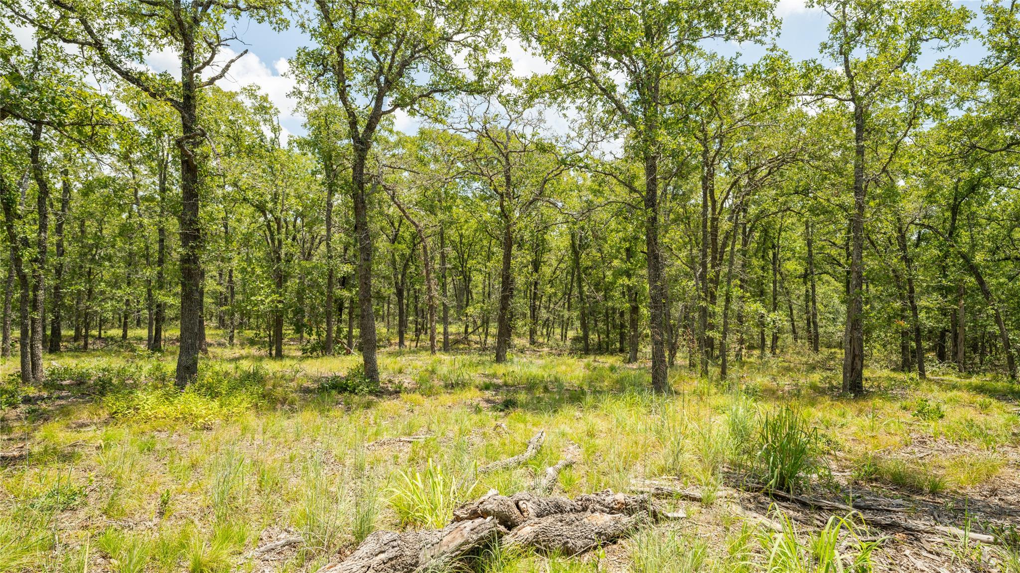 418-G County Road 405 Buckholts TX 76518