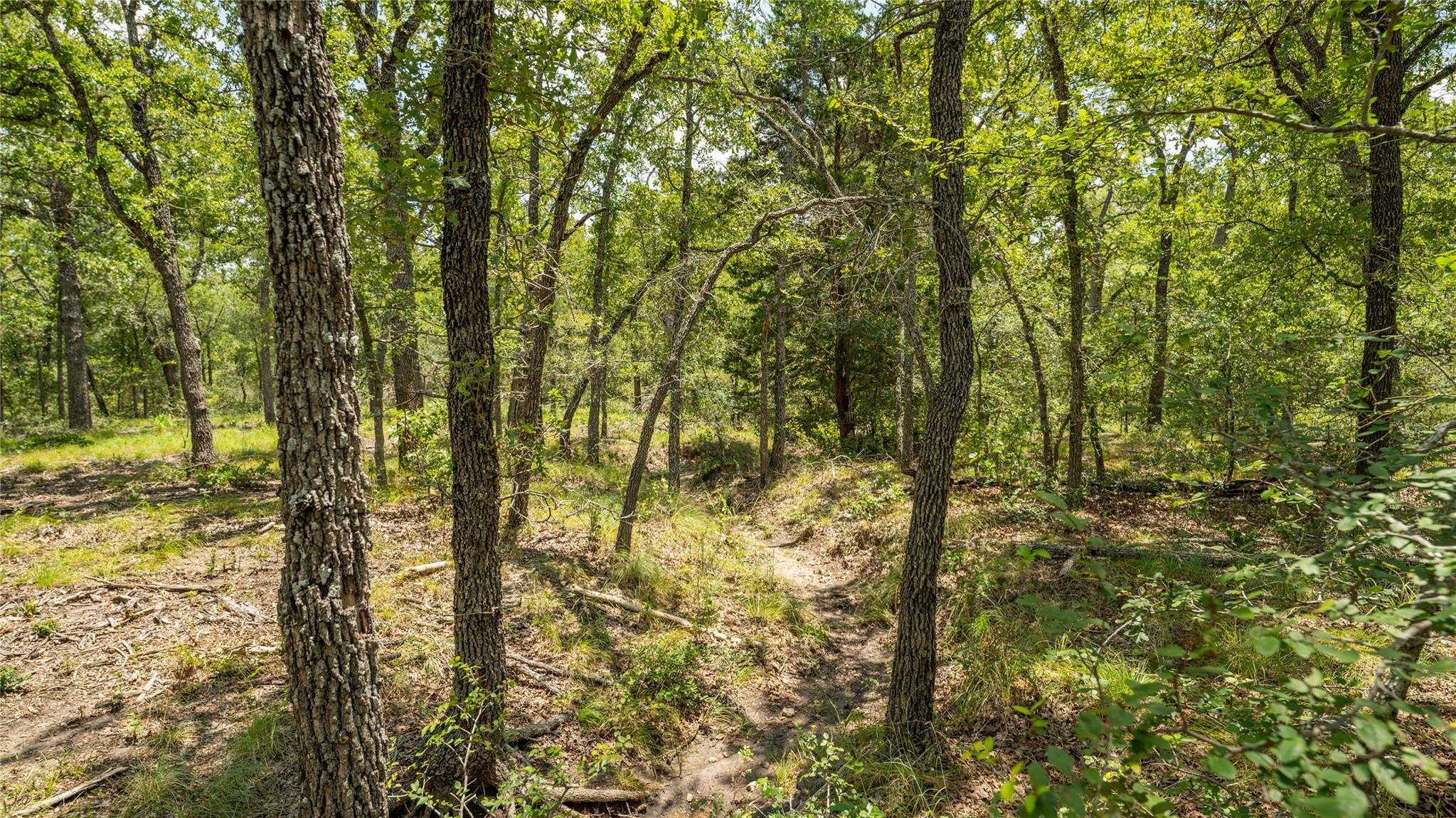 418-G County Road 405 Buckholts TX 76518