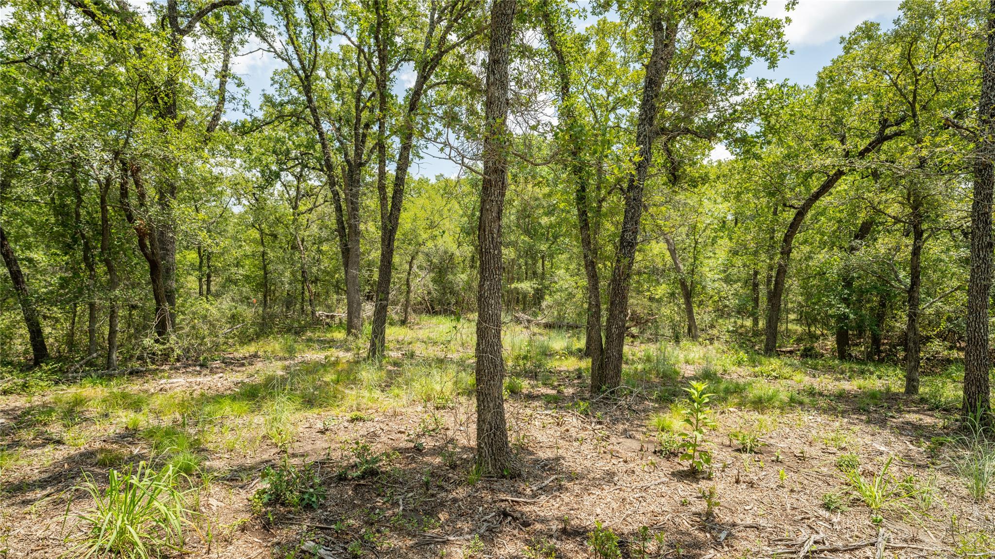 418-G County Road 405 Buckholts TX 76518