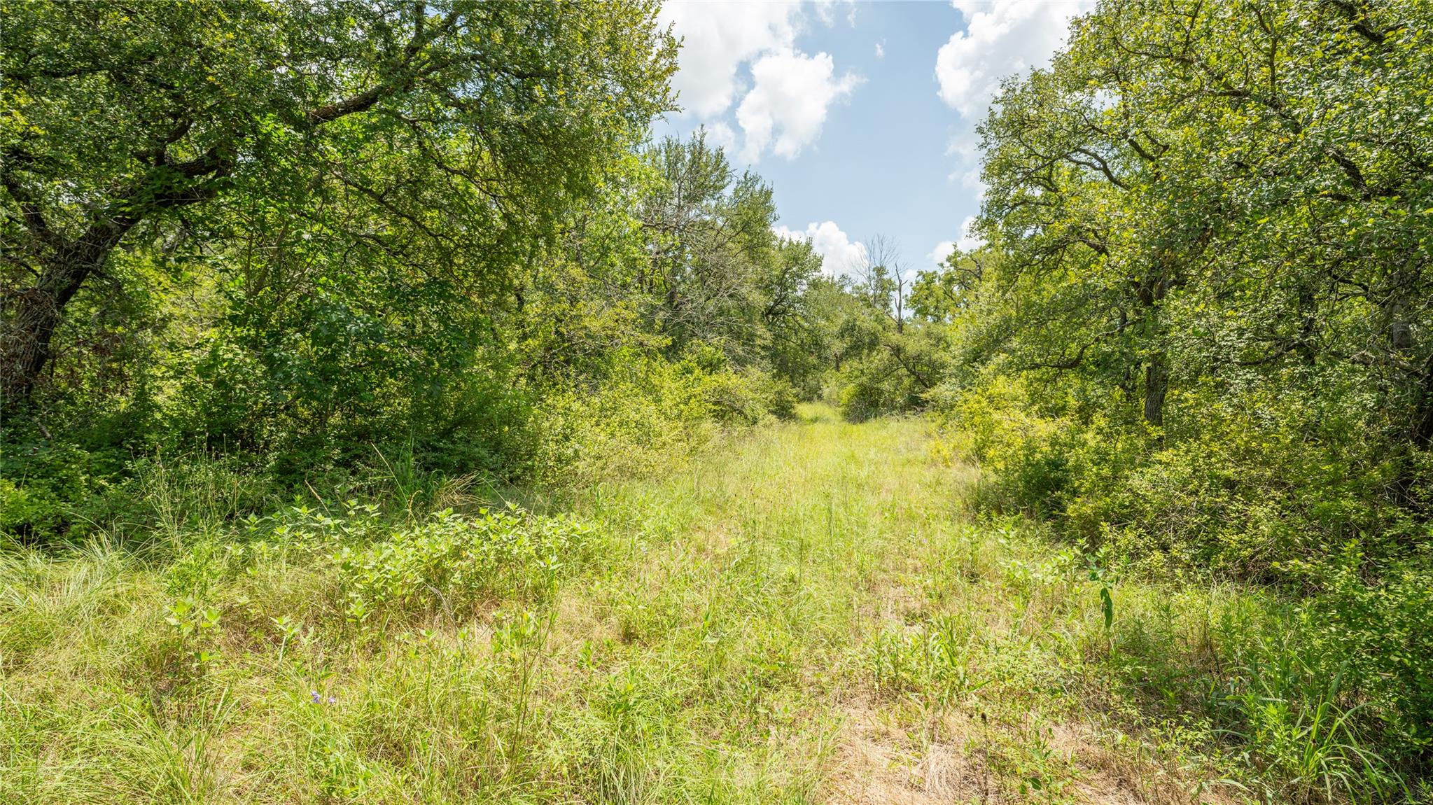 418-G County Road 405 Buckholts TX 76518
