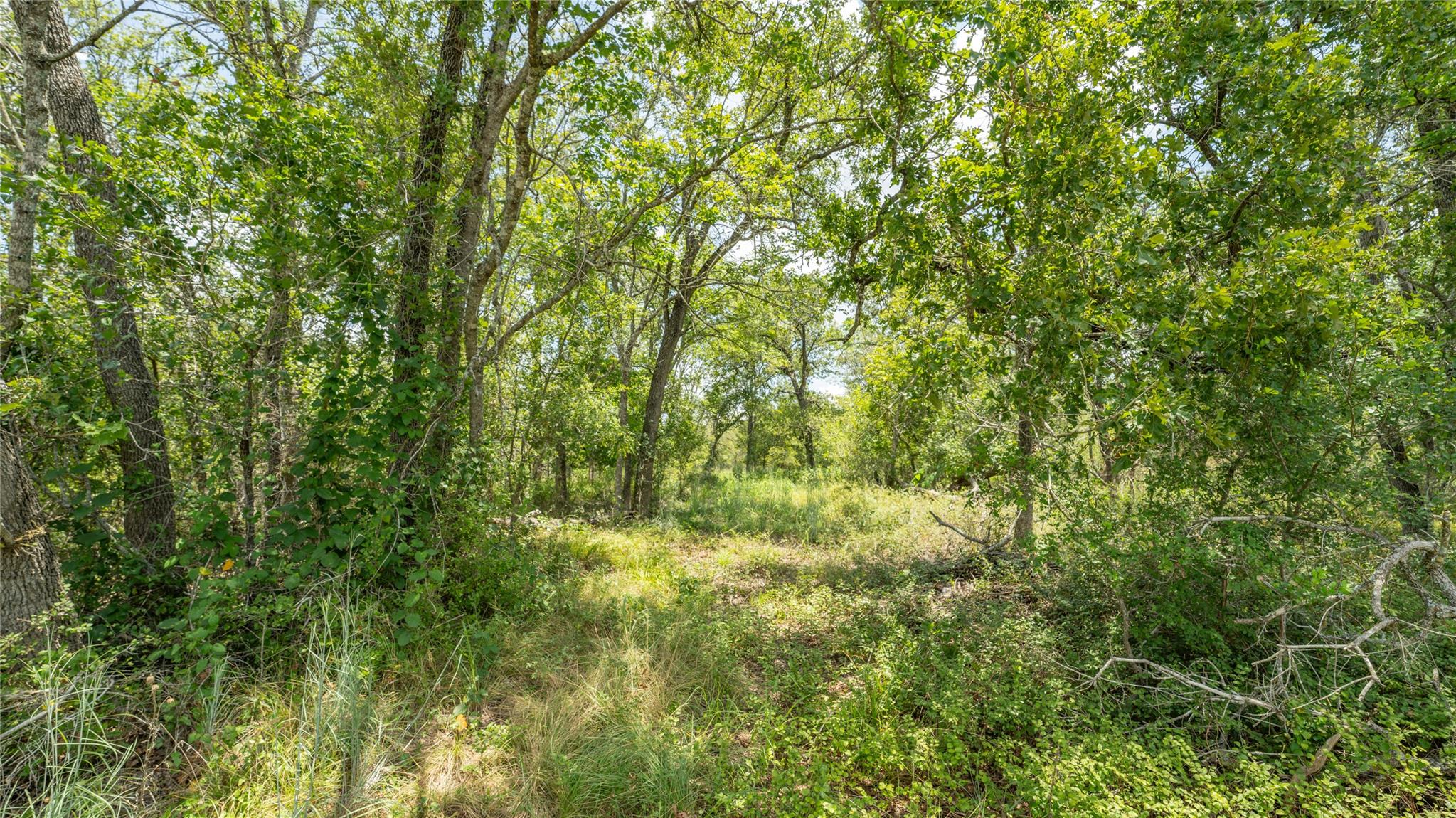 418-G County Road 405 Buckholts TX 76518