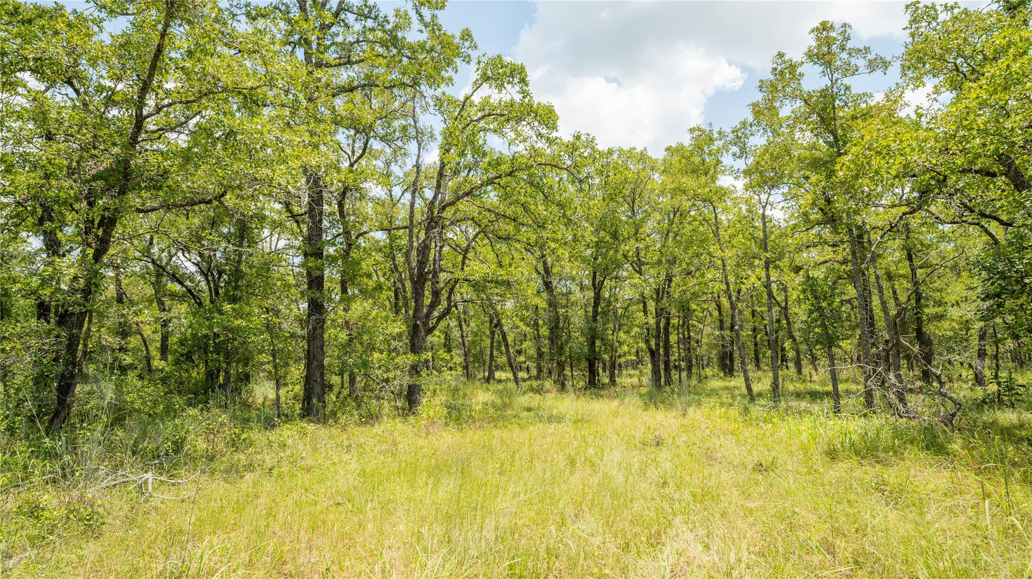 418-G County Road 405 Buckholts TX 76518