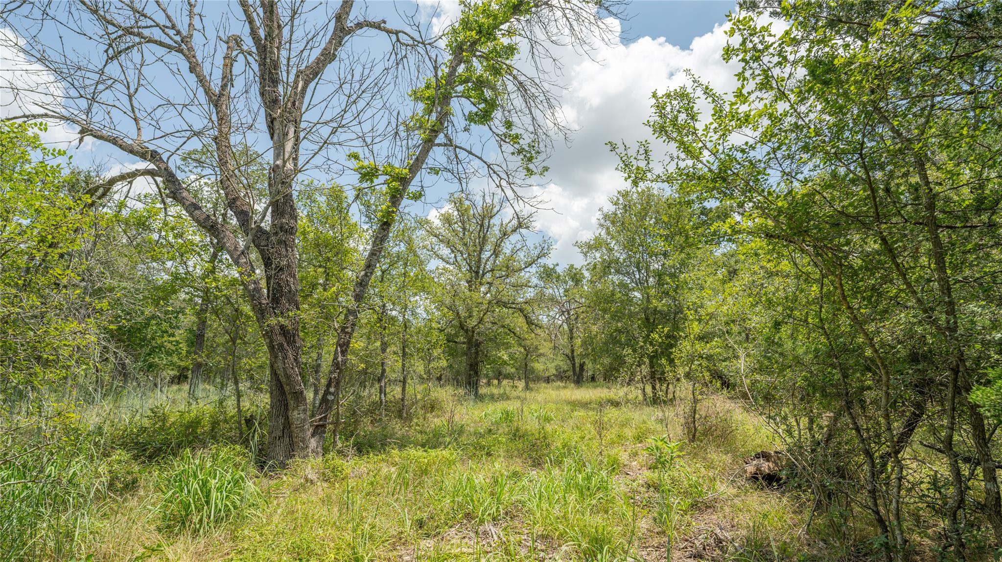 418-G County Road 405 Buckholts TX 76518