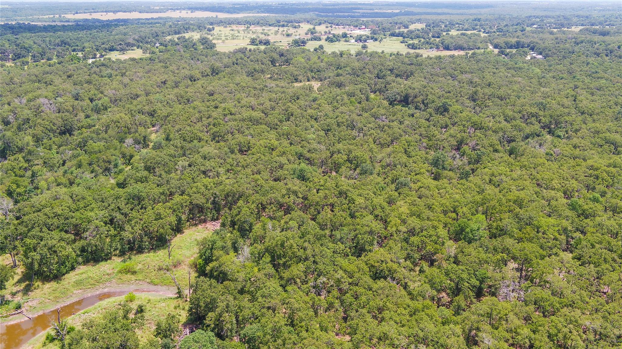 418-G County Road 405 Buckholts TX 76518