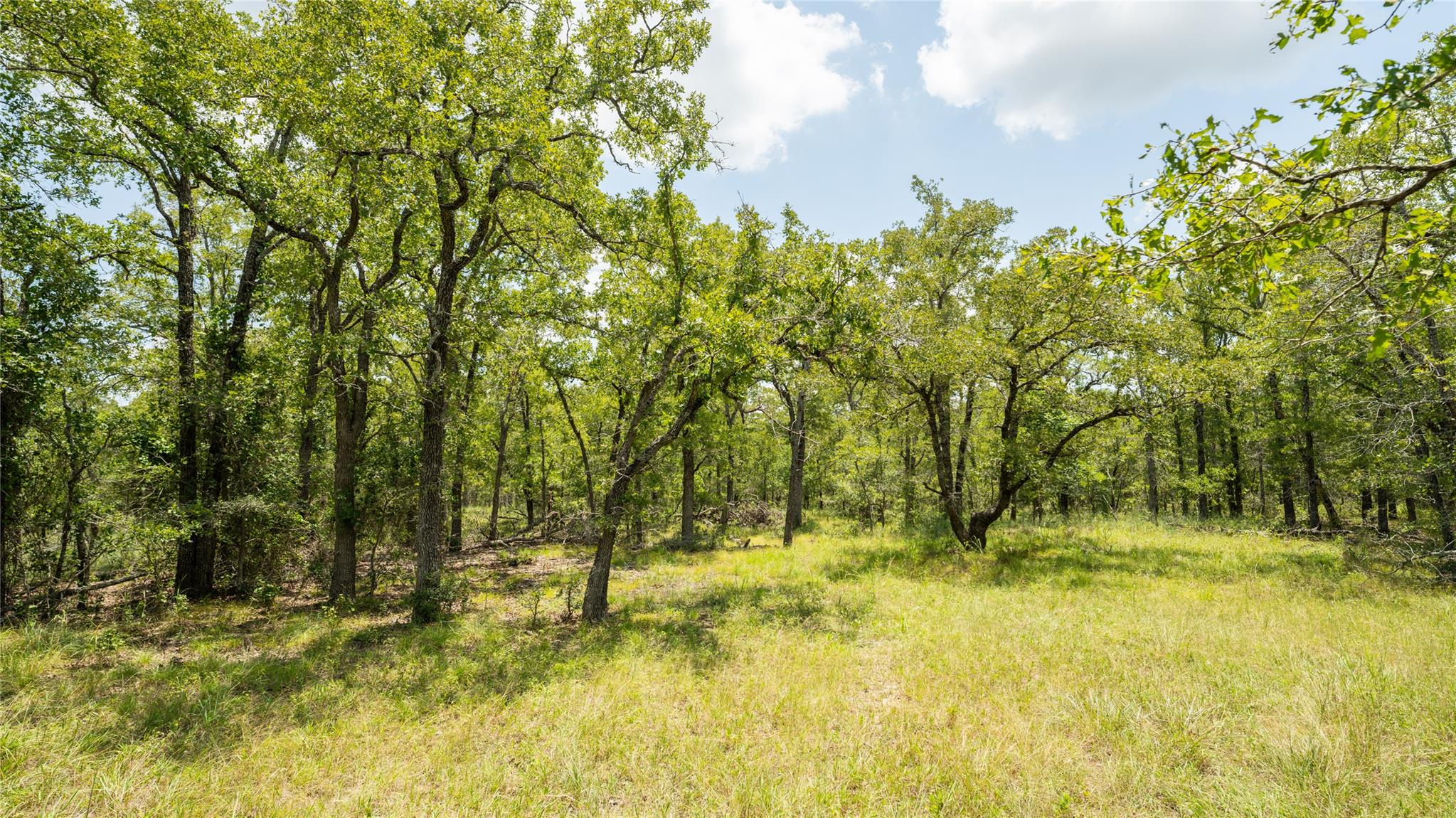 418-G County Road 405 Buckholts TX 76518