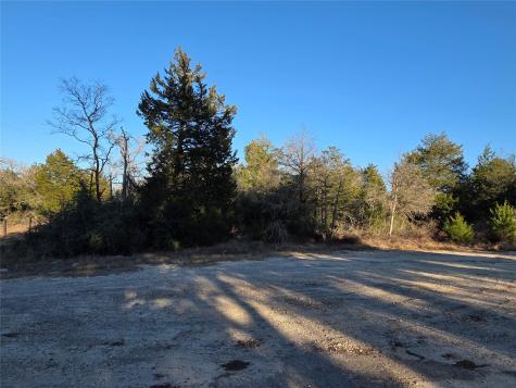 1241 Scenic View Lexington TX 78947
