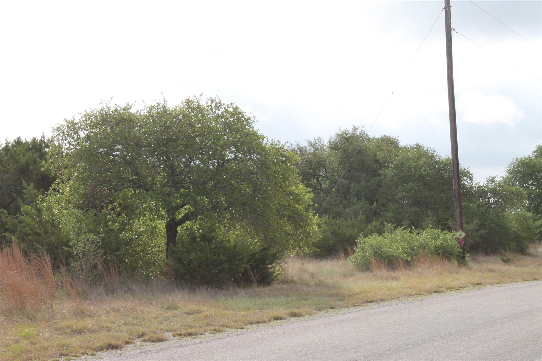 Lot 1 Saddle Ridge Drive Bertram TX 78605