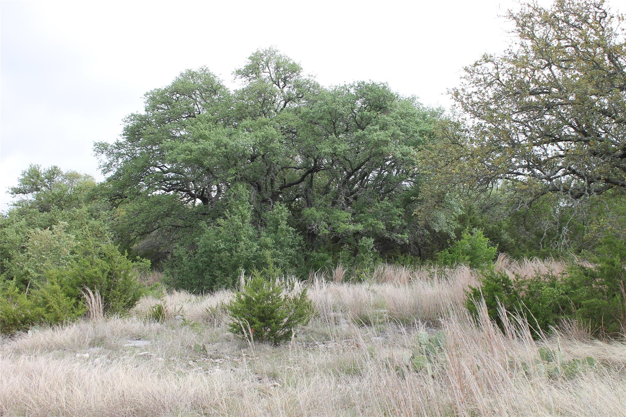 Lot 1 Saddle Ridge Drive Bertram TX 78605