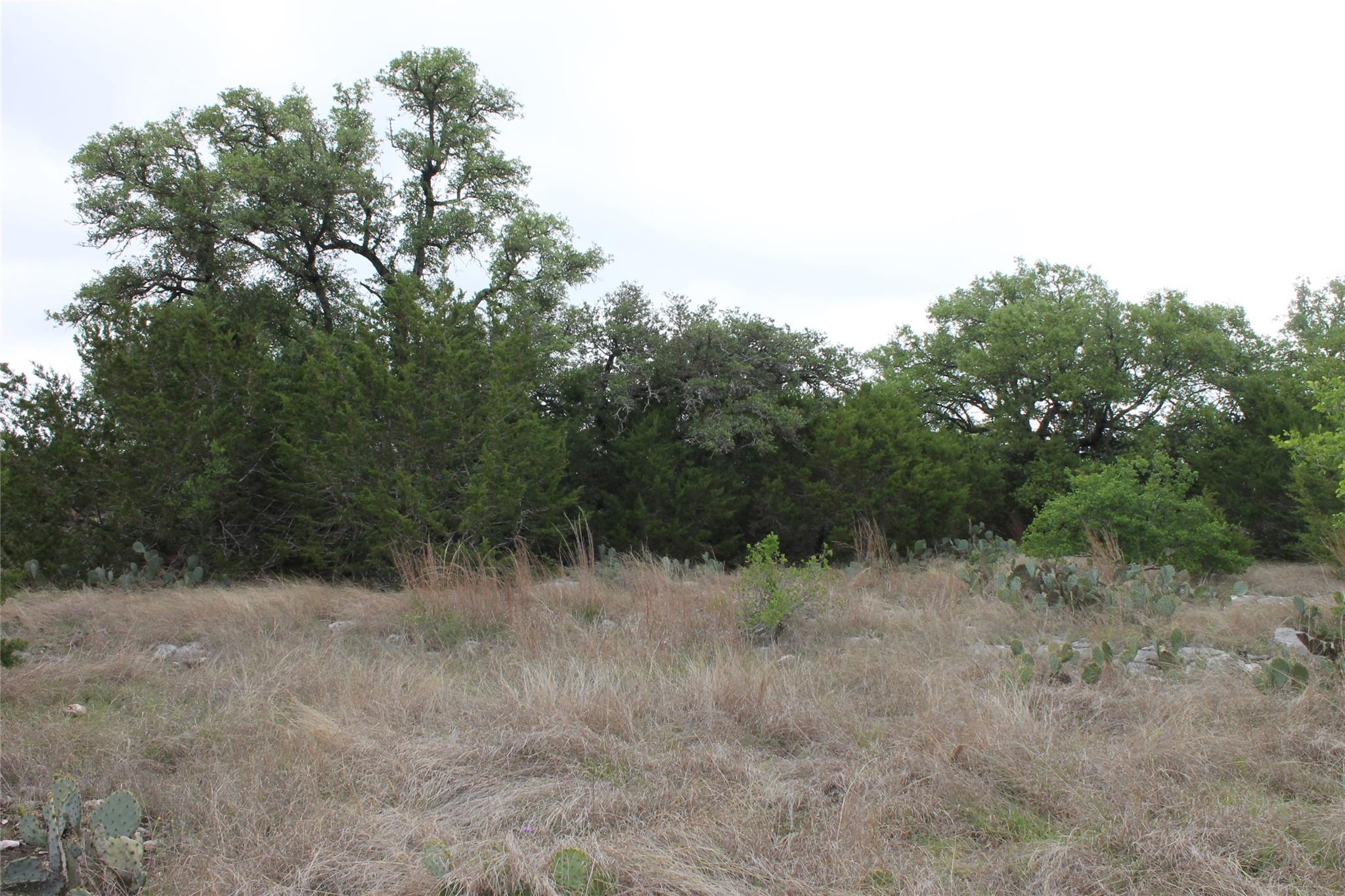 Lot 1 Saddle Ridge Drive Bertram TX 78605