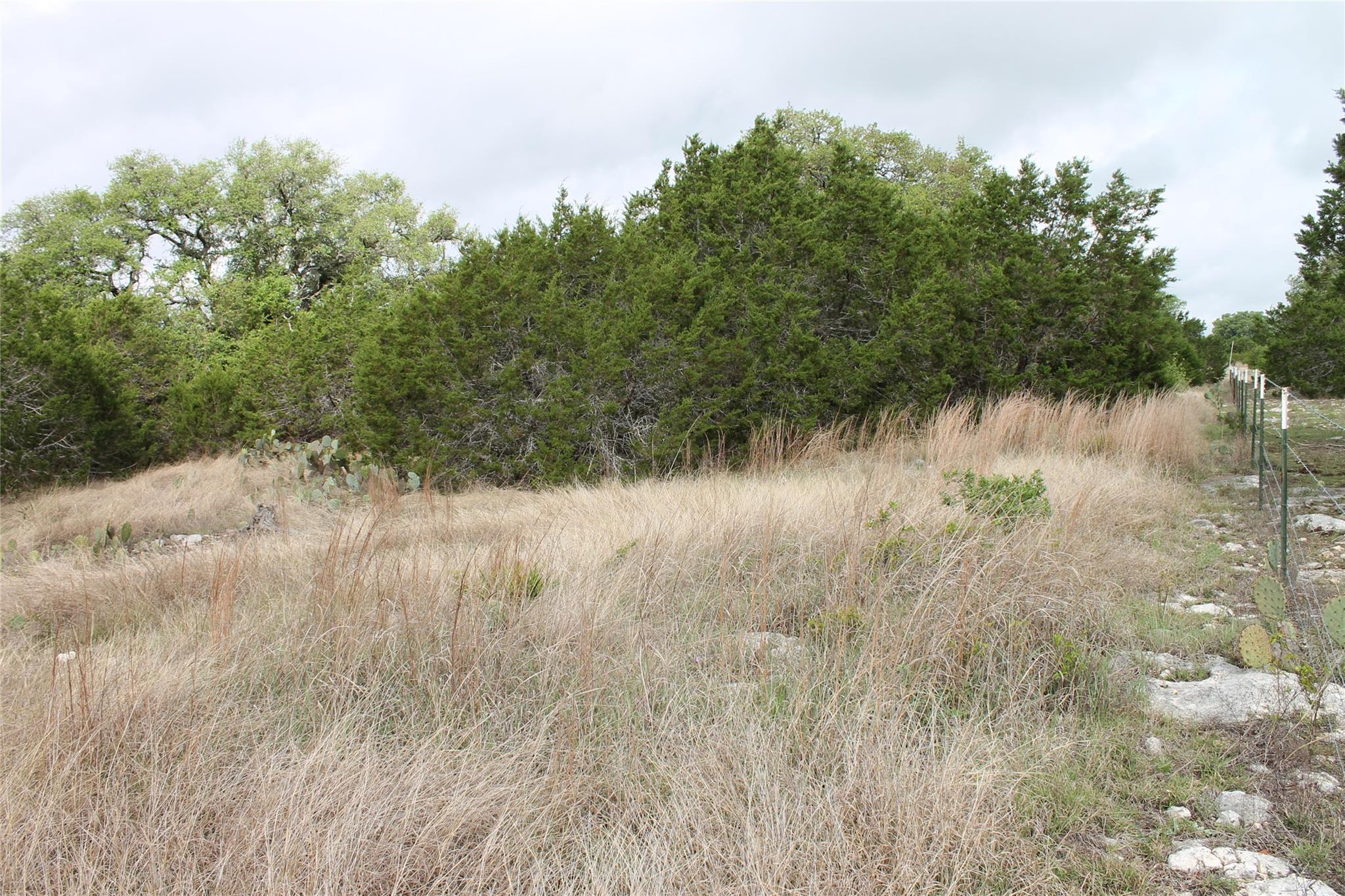 Lot 1 Saddle Ridge Drive Bertram TX 78605