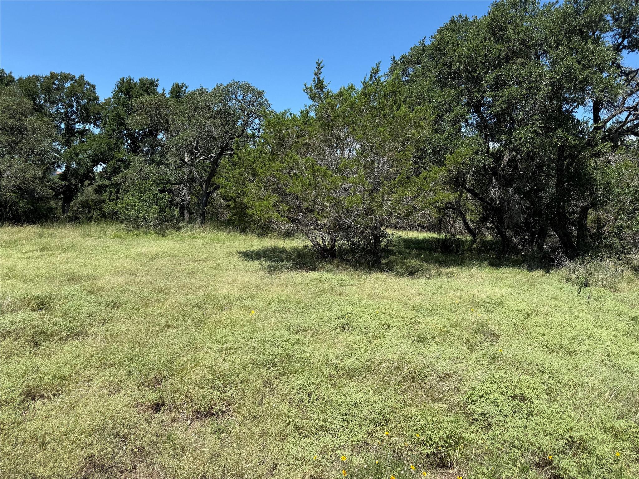 113 N John Bird Street Blanco TX 78606