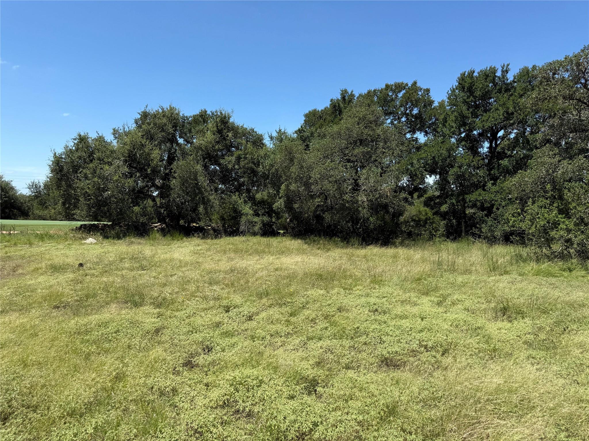 113 N John Bird Street Blanco TX 78606