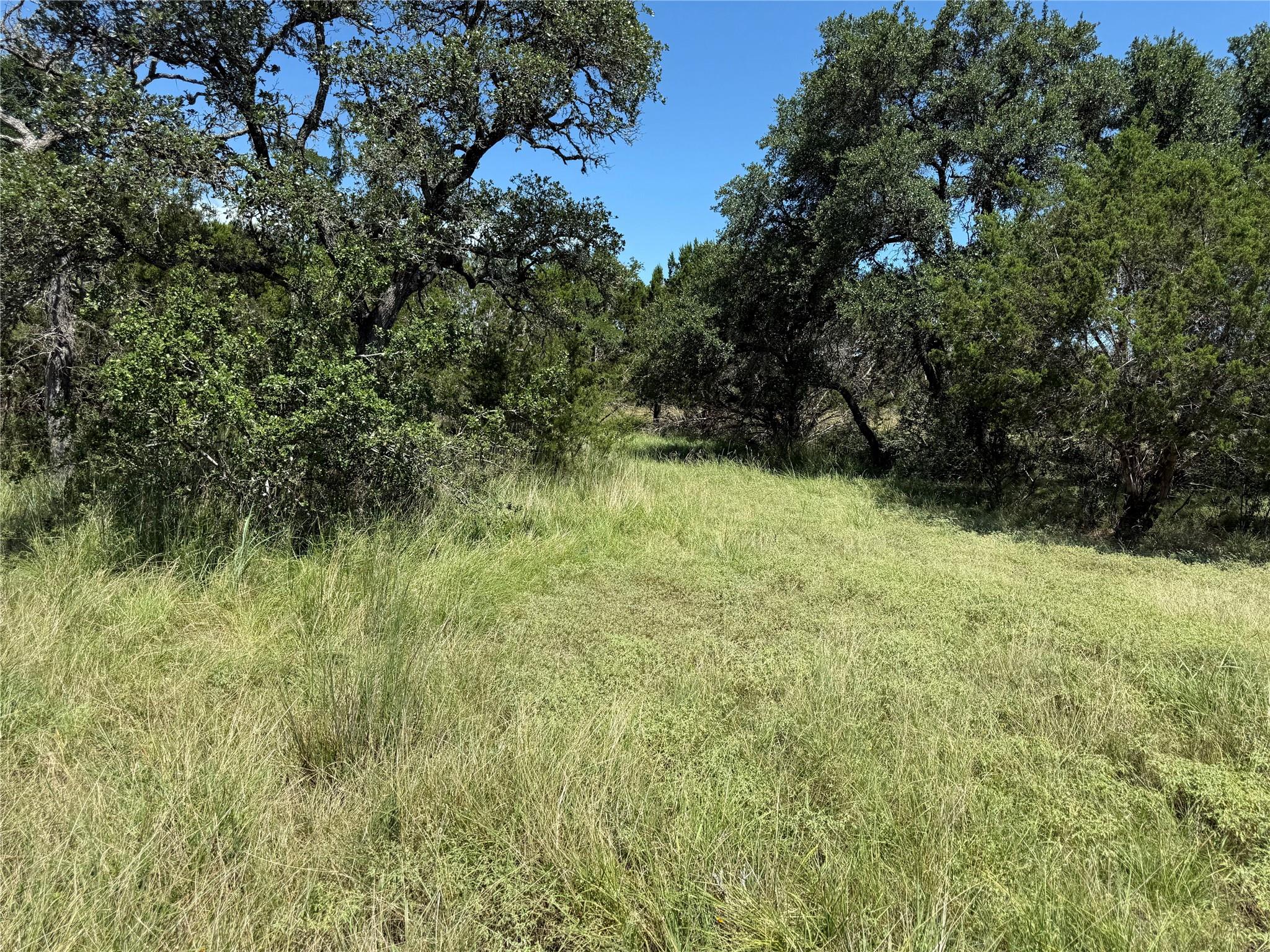 113 N John Bird Street Blanco TX 78606