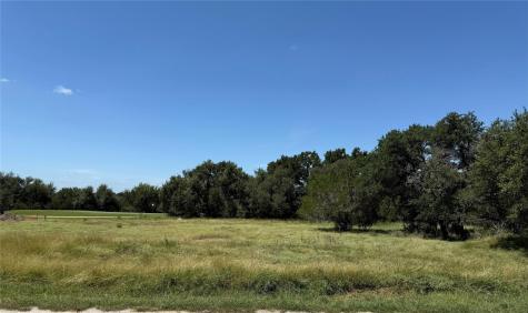 113 N John Bird Street Blanco TX 78606