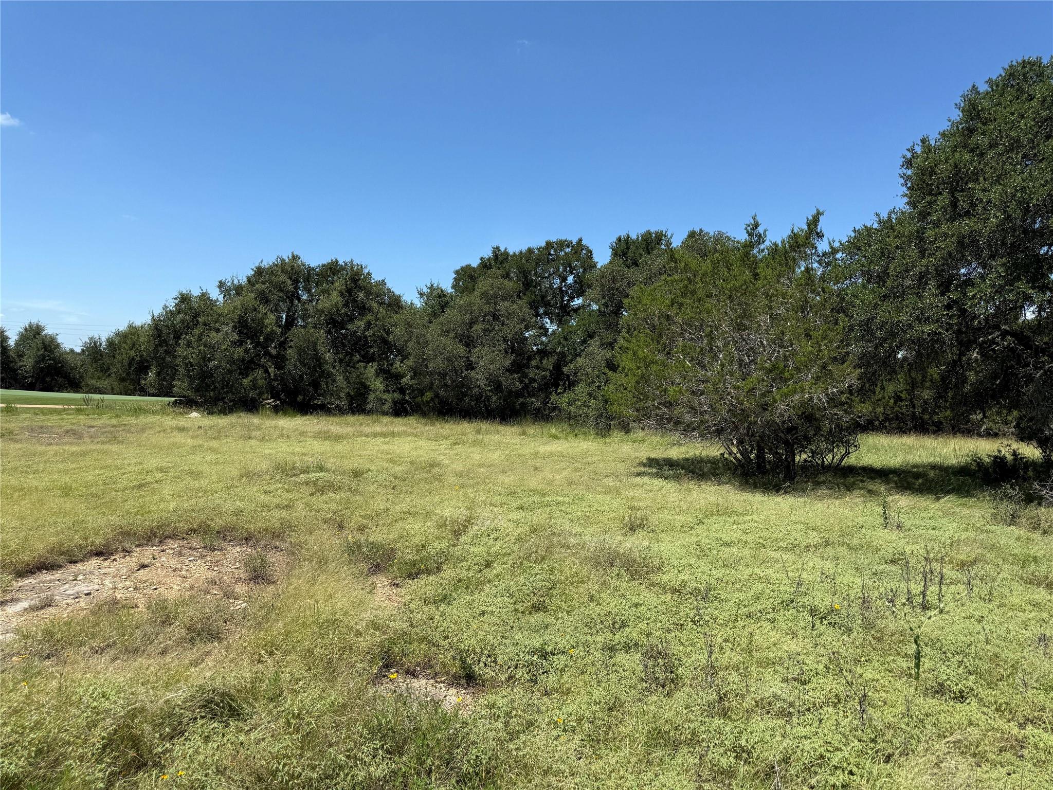 113 N John Bird Street Blanco TX 78606
