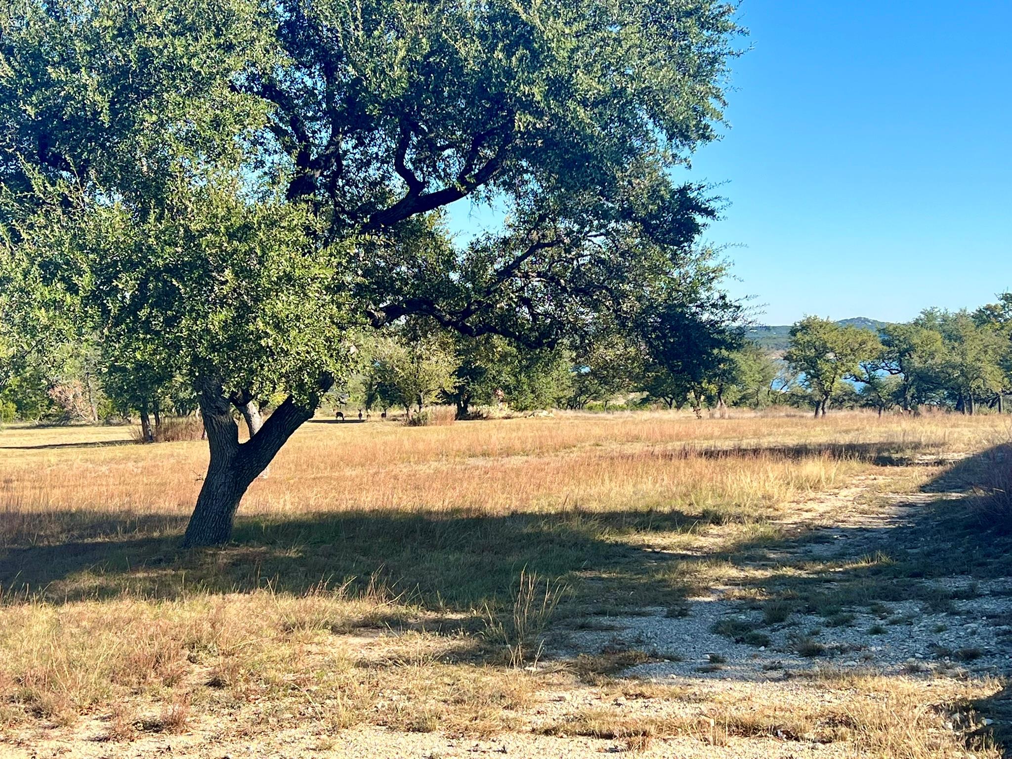 1217 Libby Lookout Canyon Lake TX 78133