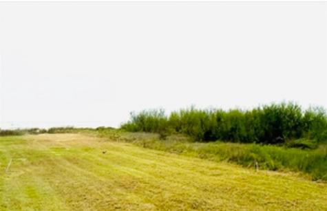 995 Alicia Drive Crystal Beach TX 77617