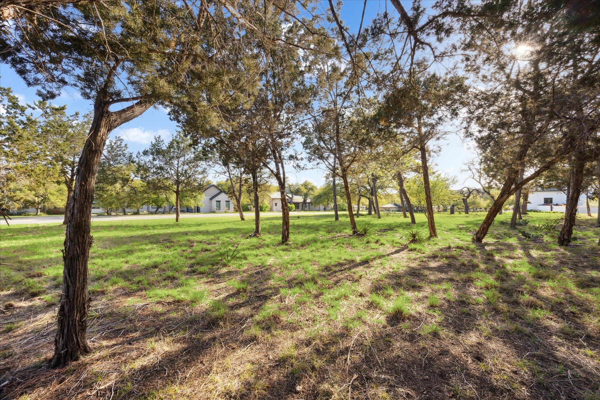 274 Waters Edge Cove Dripping Springs TX 78620