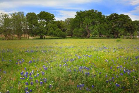 274 Waters Edge Cove Dripping Springs TX 78620