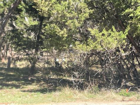 301 Augusta Cove Lago Vista TX 78645