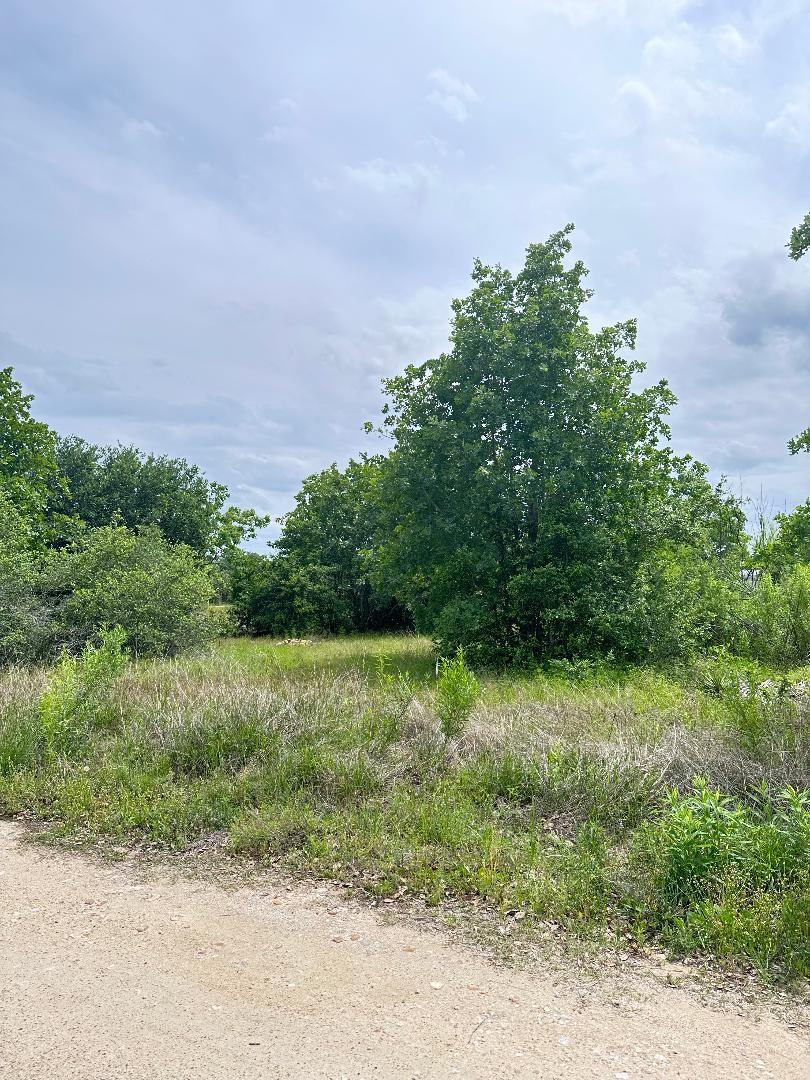 136A Wild Bird Loop Smithville TX 78957