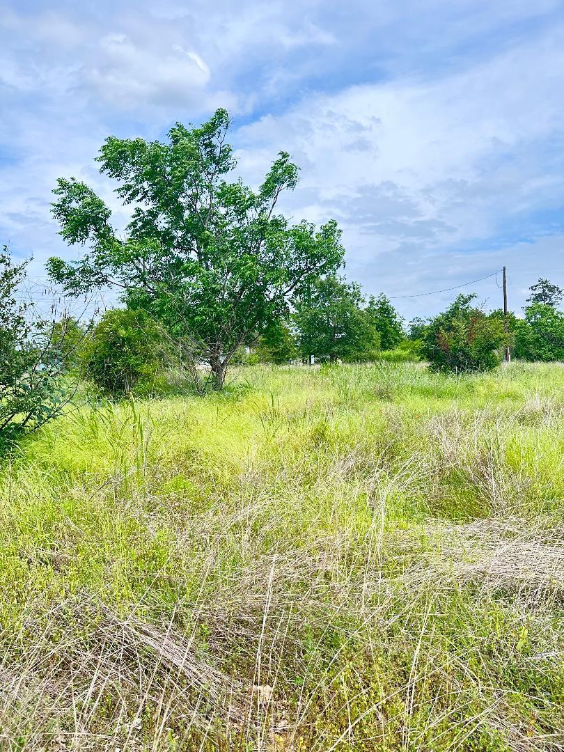 136A Wild Bird Loop Smithville TX 78957