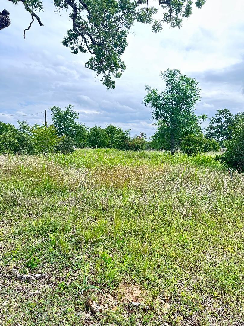 136A Wild Bird Loop Smithville TX 78957