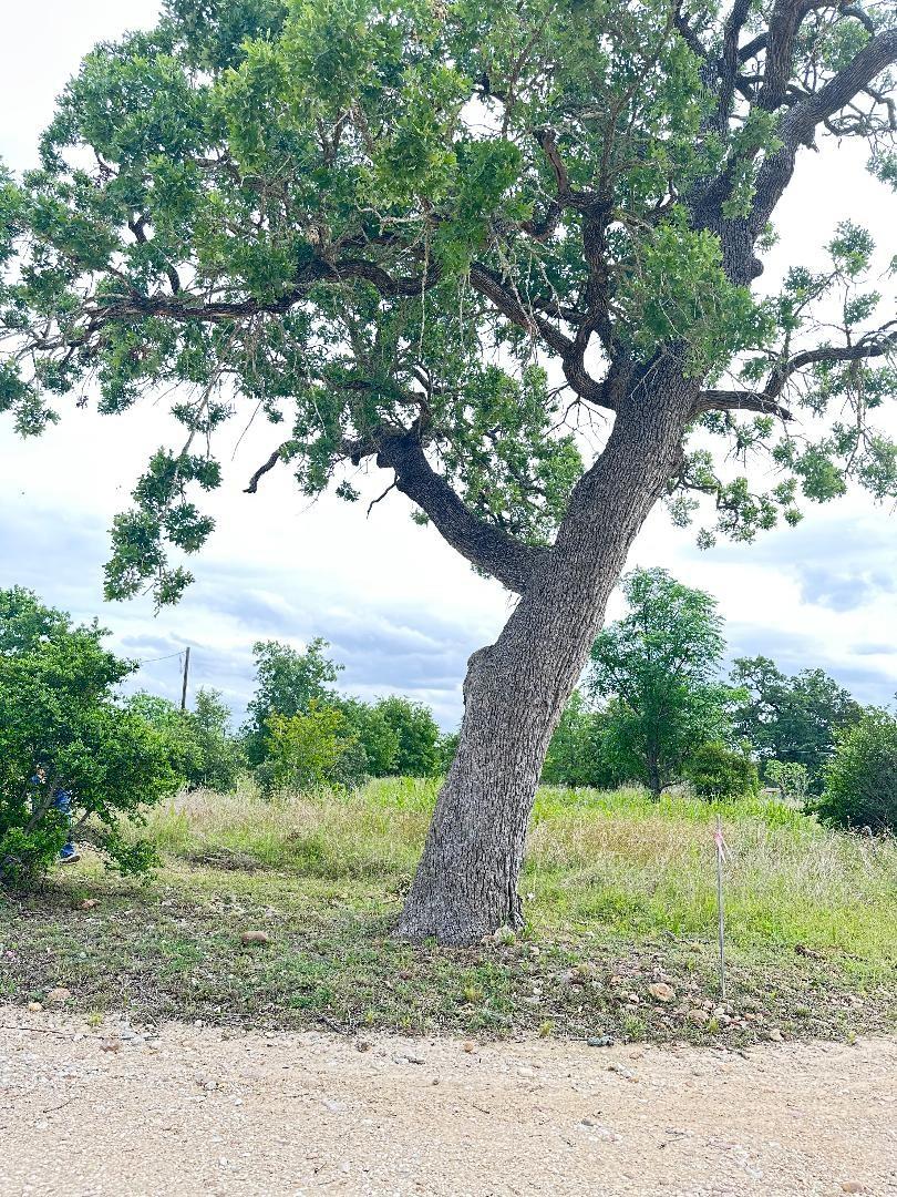 136A Wild Bird Loop Smithville TX 78957