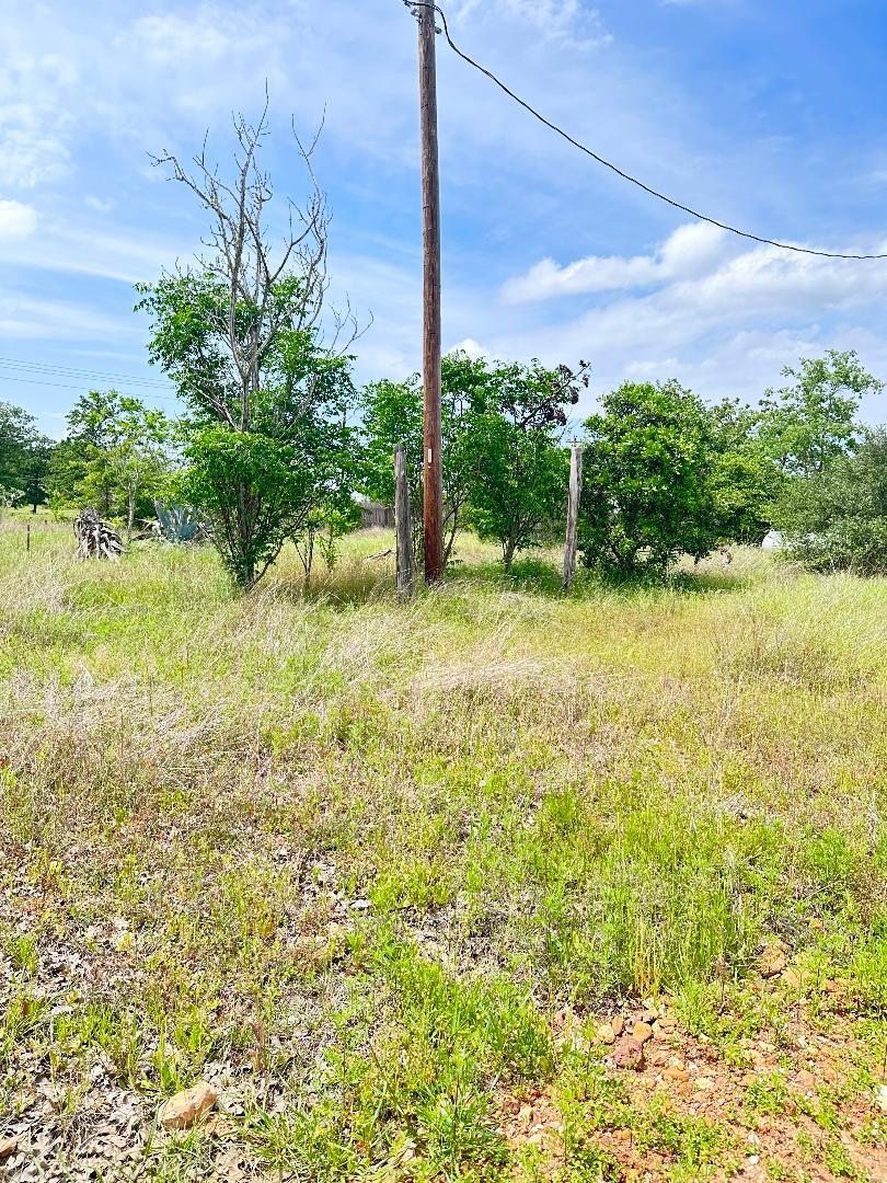 136A Wild Bird Loop Smithville TX 78957