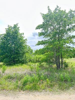 136A Wild Bird Loop Smithville TX 78957
