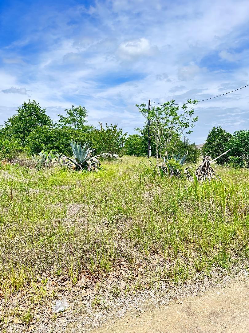136A Wild Bird Loop Smithville TX 78957