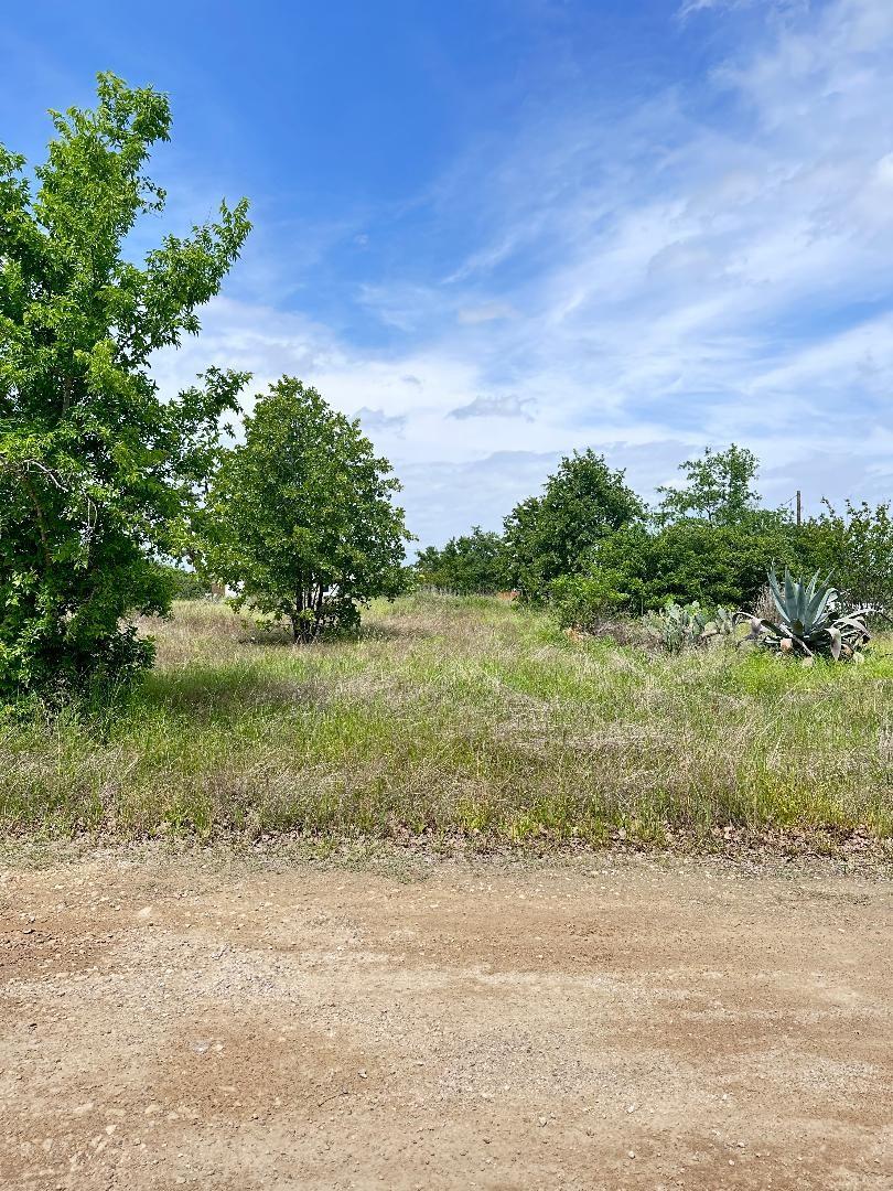 136A Wild Bird Loop Smithville TX 78957