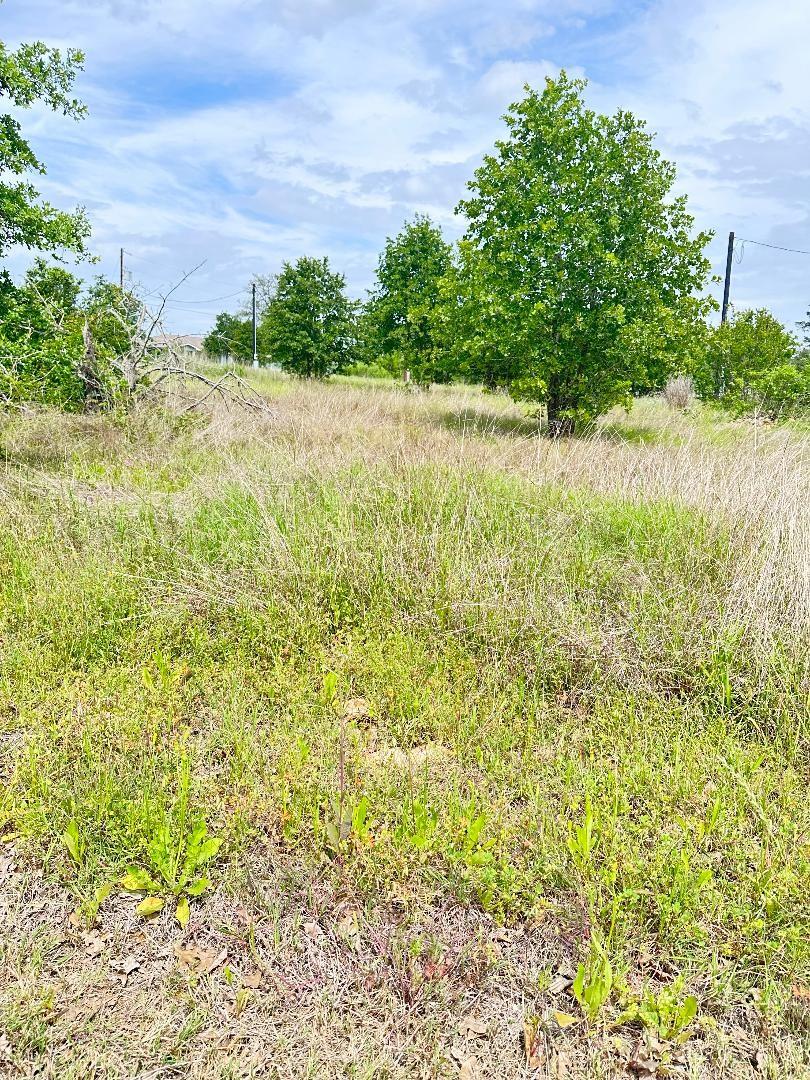 136A Wild Bird Loop Smithville TX 78957