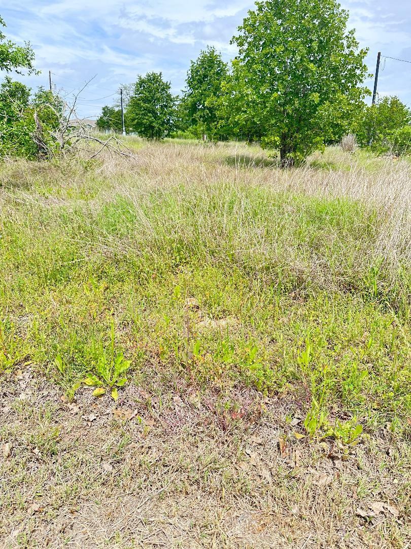 136A Wild Bird Loop Smithville TX 78957