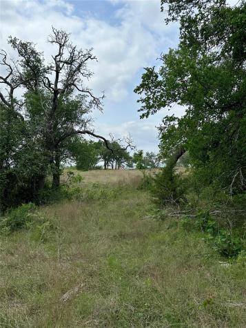 000 County Road 153 - Lot 16b Georgetown TX 78626